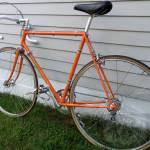 Moltini Orange 1974 Colnago21